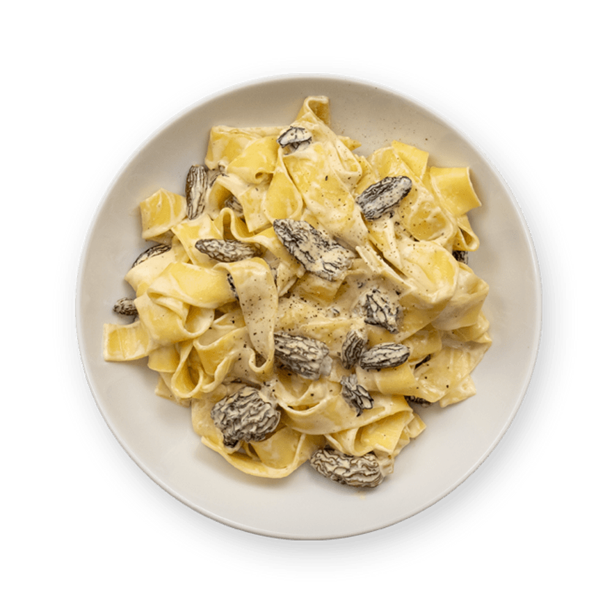 Pappardelle aux morilles