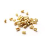 Wheat berries