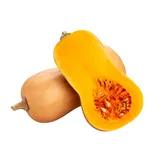 Courge butternut Bio