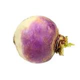 Turnip