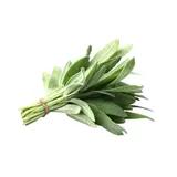 Sauge (frais)