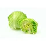 Iceberg lettuce