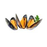 Moules