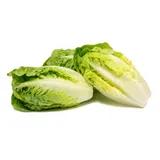 Little gem lettuce