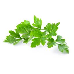 Persil plat