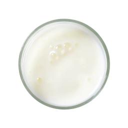 Lait (ribot)