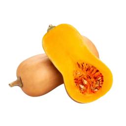 Courge butternut Bio