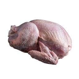 Turkey (whole)