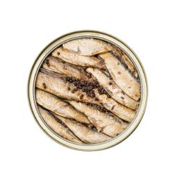 Sardines (in oil)