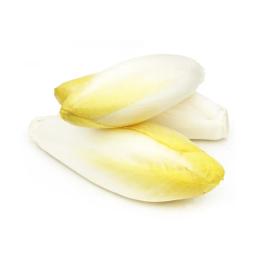 Belgian endive