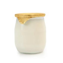 Whole milk yogurt (plain)