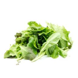 Spring mix lettuce