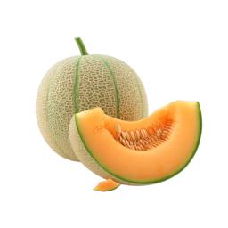 Melon