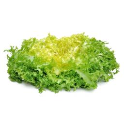 Salade (frisée)