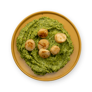 Scallops and Mashed Broccoli