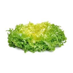 Salade (frisée)