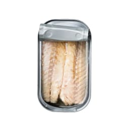 Mackerel fillet (canned)