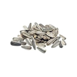 Sunflower seeds